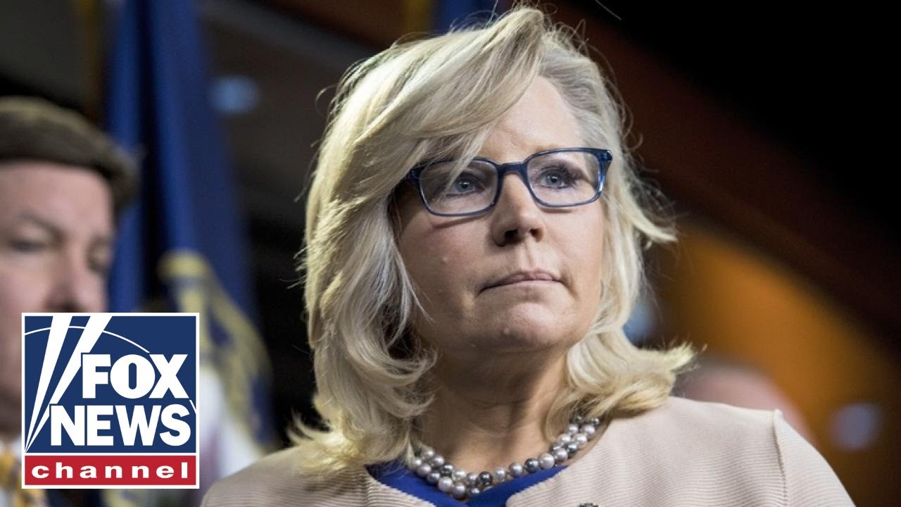 Liz Cheney thinks she’s ‘moral judge’ of Republicans: Gingrich￼