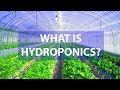 Hydroponics and Aquaponics Concepts