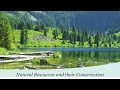 Forests and Their Benefits