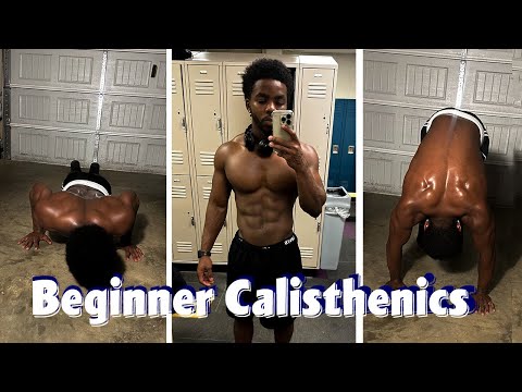 Beginner Bodyweight Workout