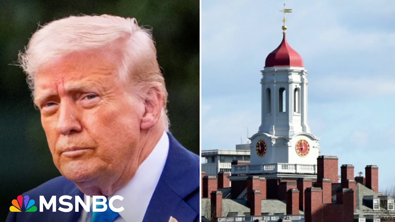 ‘Solace’: Harvard ‘sets precedent’ by refusing Trump admin. demand to ‘audit’ campus viewpoints