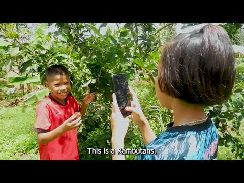 แนะนำผลไม้ในท้องถิ่นจัดทำโดยโรงเรียนชุมชนบ้านตากแว้ง