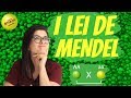 Quiz sobre Genética Mendeliana