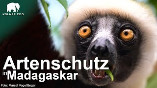 Artenschutz, des Kölner Zoos, in Madagaskar | Erklärt von Dr. Johanna Rode-White
