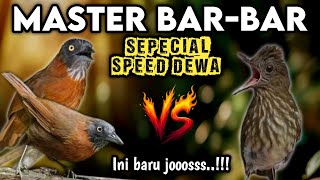 Viral di Tik Tok!!! MASTERAN SULTAN FULL TEMB4K4N PALING BAR-BAR 2026‼️