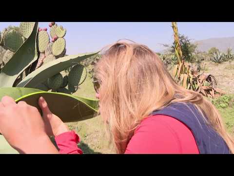 El Otro México CHINICUIL