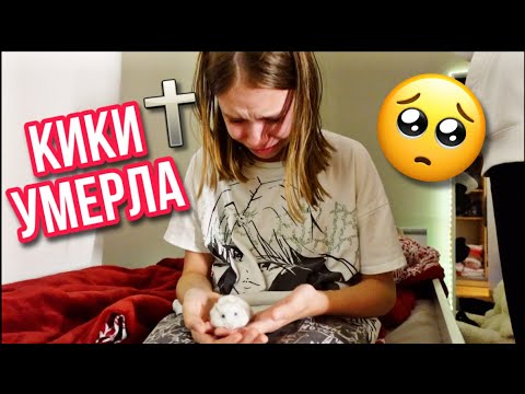 ВЛОГ /😭 КИКИ УМЕРЛА 🐹 27.10.21