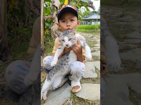 Cara menangkap harimau