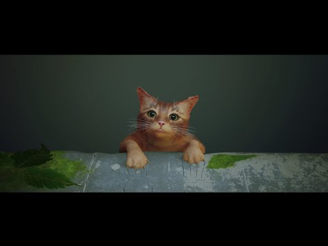 REAKSI OBIT MELIHAT KUCING OYEN JATUH KE JURANG #shorts