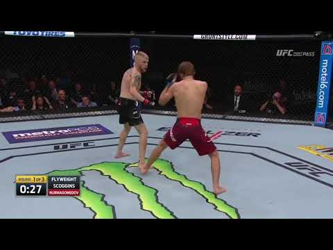Said Nurmagomedov Highlights 2020