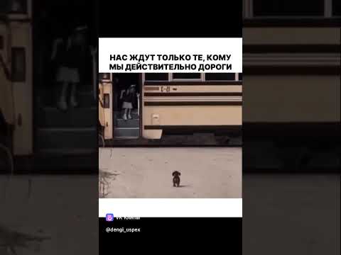 Нас ждут те кому мы нужны !