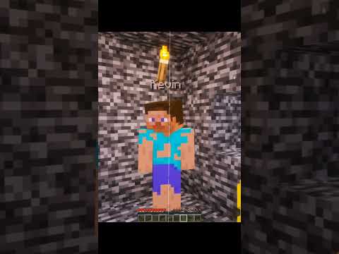 When Kevin and Bob Crossed Minecraft’s Limit