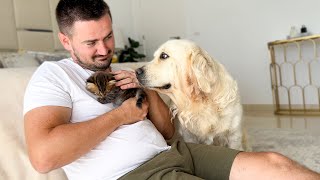 Jealous Dog DEMANDS Attention While I Cuddle a Kitten 🐾