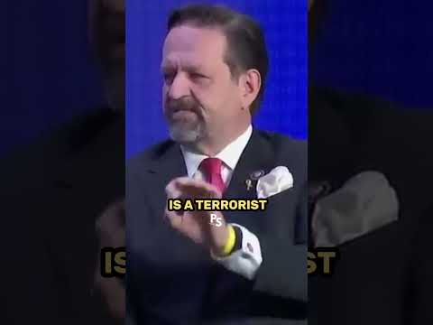 Joe Rogan Watches Woke Reporter Get Destroyed By Sebastian Gorka