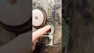 Bunghole repair