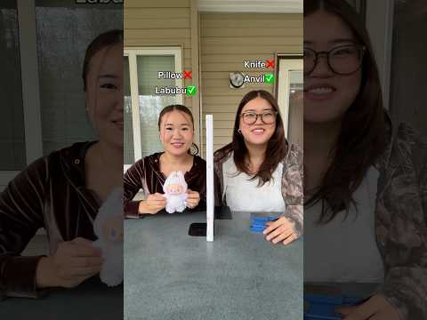 Guess the item challenge👀 #sister #sisters #comedy #funny #funnyvideo #trending #funnyshorts #fun