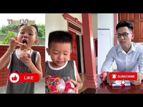 Tổng Hợp Các Video Hay Nhất Nhất Của Team Tippi Phần 18  #tippitv #tippivips