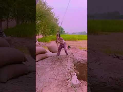 Olha só o que o Irã está fazando #iran #irã