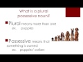 Exploring Plural Possessive Nouns
