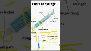 parts of syringe ll #all#parts#shorts#video