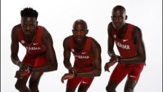 Cross country training section #treadmill #athlete #athletics #running #rolltide