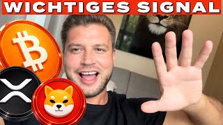 Bitcoin, XRP und Shiba Inu 🟢 Der Kontext ist wichtiger als der Preis