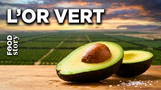 AVOCATS : La vérité sur le business secret du "diamant vert"
