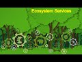 Ecosystem Services and Economic Value