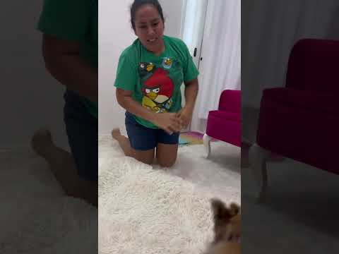 El final jajajaja 😂