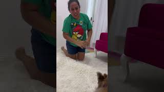 El final jajajaja 😂