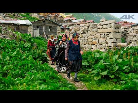 Zamanın Bükemediği Yayla - Lazların Zirvesi "Didingola" | Belgesel Film