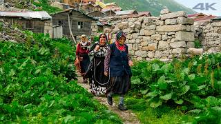 Zamanın Bükemediği Yayla - Lazların Zirvesi "Didingola" | Belgesel Film