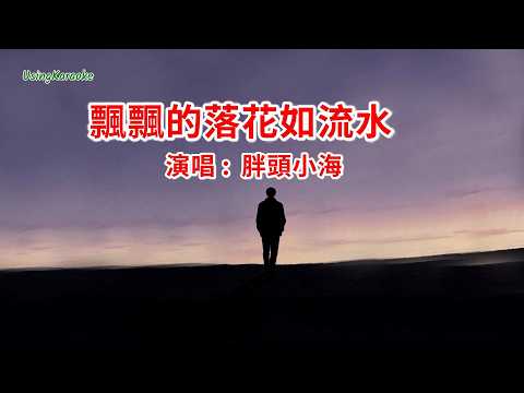 飄飄的落花如流水-胖頭小海-演唱 KARAOKE