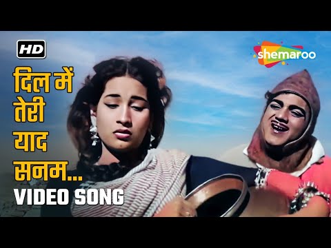 दिल में तेरी याद सनम | Dil Mein Teri Yaad Sanam | Bin Badal Barsat | Mohammed Rafi & Asha Bhosle