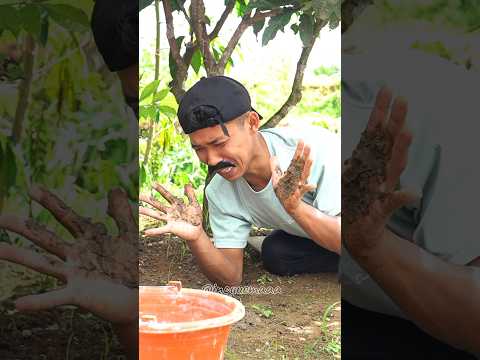 Salah nangkap laba laba #hiburan #kreatif