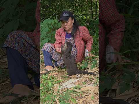 Kebiasaan siboni habis main langsung makan #betinurgustiani #siboni #animals #americanfunnyvideos