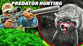 HUNTING COYOTES with ULTRA CLEAR THERMAL optics (RH50v2)