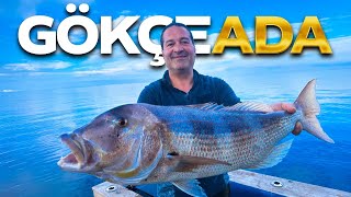 Gökçeada’da Kalamarı Çektik, Sinariti Yakaladık! 🎣 Efsane Av Macerası