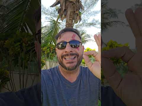 O "tiro no pé" do "santuário" dos elefantes lotou o zoológico de Sorocaba #bichoesperto #biologo