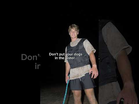 “Don’t put the dogs in the water…”😱 #theboys #viral #shorts