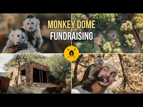 Dean Schneider - Monkey Dome - We need YOUR HELP!