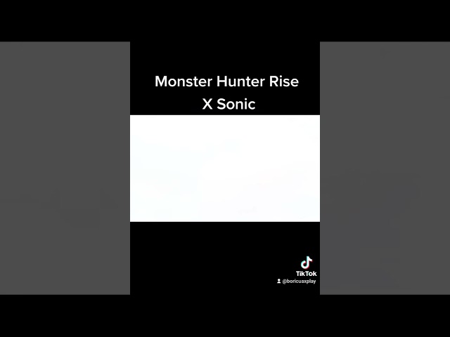 Monster Hunter Rise X Sonic the Hedgehog