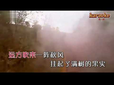 徐霞 梧桐樹karaokeKTV 伴奏 左伴右唱 karaoke 卡拉OK 伴唱 instrumental徐霞 梧桐樹karaoke