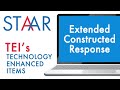 Extended Constructed Response Guidelines