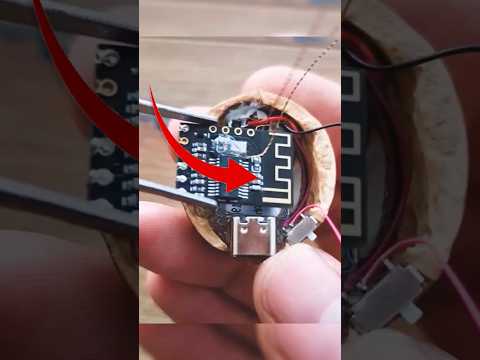 Nuez convertida en Altavoz Bluetooth #proyectoelectronico