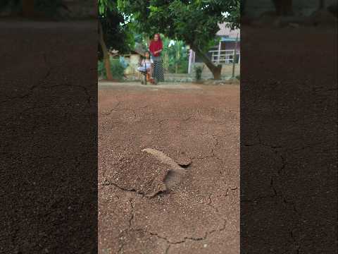 saat momong adek naik becak,tiba2 di depan ada kepala boneka aneh menakutkan #shorts #prank