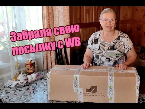 Они приехали! Сажаю розы из WB посылки от питомника РОСТОК!