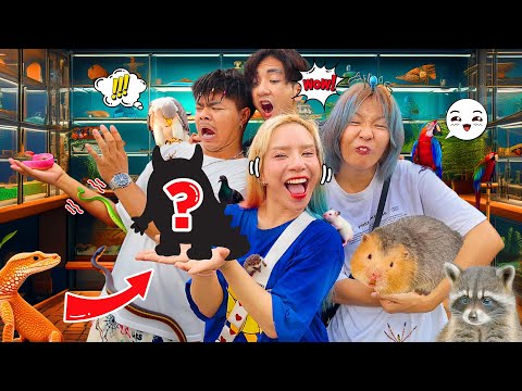 อาเมย์หาลูกตัวใหม่!! เดินหาสัตว์เลี้ยงสีชมพู!! (จะสอนมันบินเยย!!)