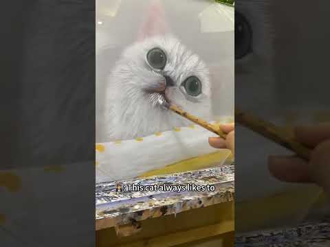 Poor cat?‍♀️poor me…#portrait #petlover #petpainting #3dglasspainting #fairwonder #shorts
