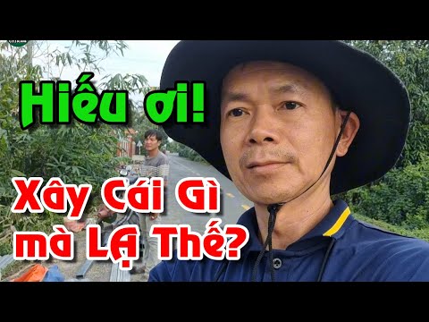 Việt Kiều "Chớ Dại" về VN Làm Giống như DTH nhé! Nhàn Lắm!